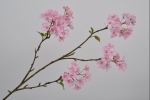 Bloesemtak 93cm roze (nog 2 stuks)